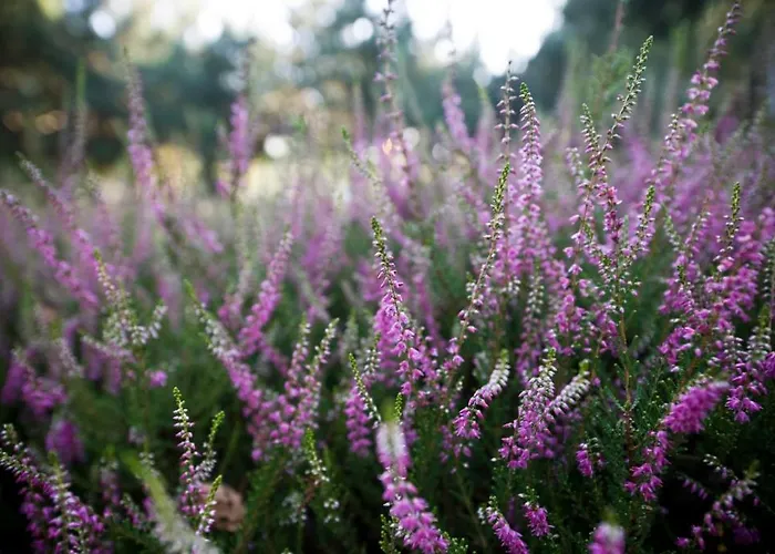 Nocleg ze śniadaniem Zagórze